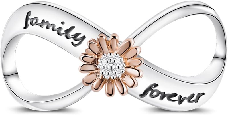 MULA 925 Sterling Silver Charms for Bracelets and Necklaces Lucky Home Happy Family Forever Love Mom Beads Dangle Pendants Jewelry for Women - Image 1